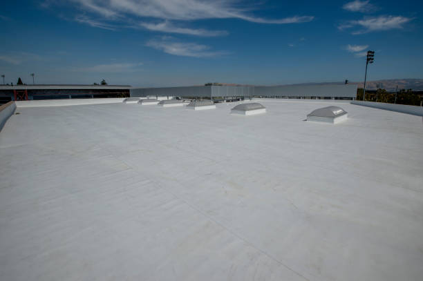 Best Roof Leak Repair  in Dry Run, OH