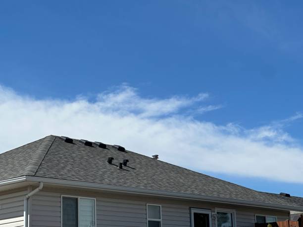 Best Roof Maintenance and Cleaning  in Dry Run, OH