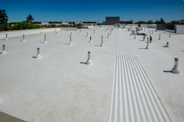 Best Roof Insulation Installation  in Dry Run, OH